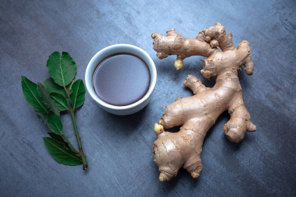 Para que serve o chá de louro? 3 receitas para incluir no dia a dia