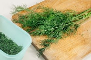 Endro: poderoso aliado da saúde com benefícios que vão além da cozinha