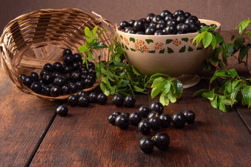 Jabuticaba: 7 benefícios da fruta para a saúde e como cultivá-la