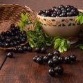 Jabuticaba: 7 benefícios da fruta para a saúde e como cultivá-la