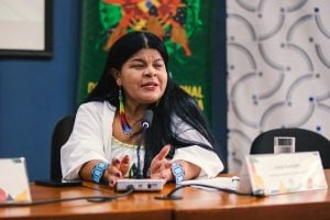 Ministra Sônia Guajajara recebe alta médica após 5 dias internada