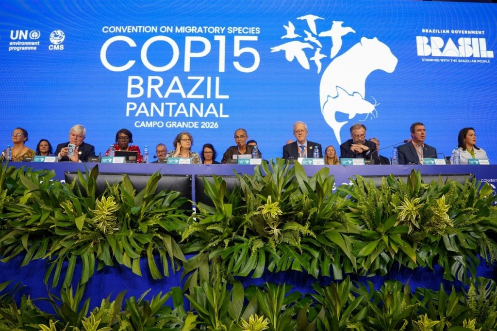 ONU: 40 novas espécies migratórias receberão proteção internacional