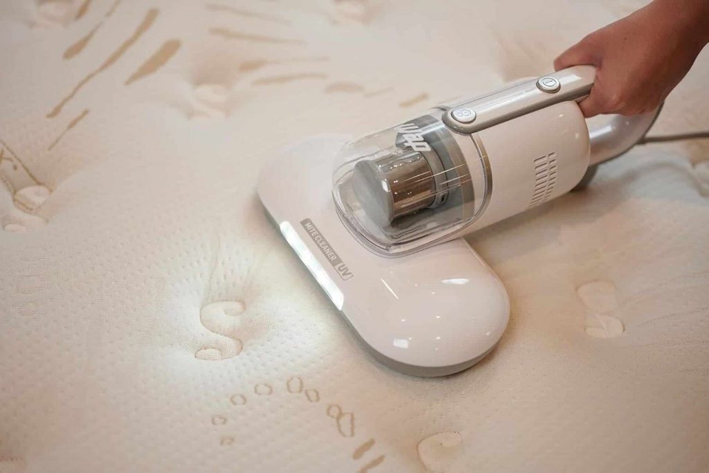 Mais do que tirar poeira: como atua o aspirador contra ácaros?