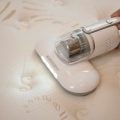 Mais do que tirar poeira: como atua o aspirador contra ácaros?