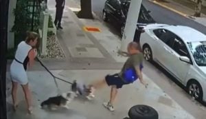 Justiça condena homem que chutou cães da irmã de Zanin