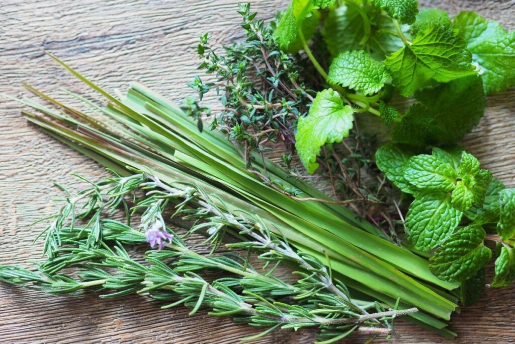 3 banhos de ervas para se conectar com a energia de Oxóssi