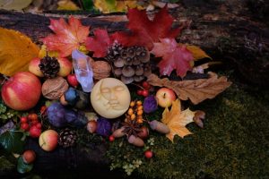 Celebração do outono: período é favorável para colheita interior