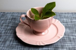 Para que serve o chá de boldo? 3 receitas para incluir no dia a dia