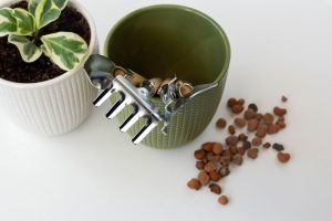 Pás, garfos e tesouras: para que serve cada peça do kit de jardim?