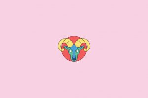 Como Touro se comporta no amor com cada signo? Veja a sinastria completa