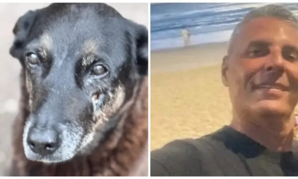 Cão Orelha: Homem investigado no caso morre em Santa Catarina