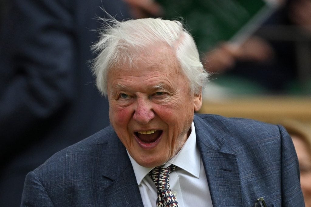 David Attenborough, ícone da defesa do planeta, completa 100 anos