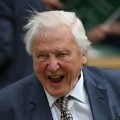 David Attenborough, ícone da defesa do planeta, completa 100 anos