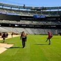 Cientistas alertam Fifa sobre risco de calor extremo na Copa do Mundo de 2026