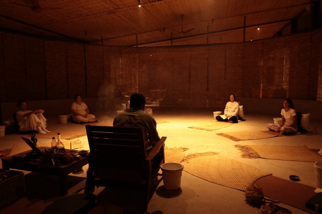 UFRJ sedia encontro sobre psicodélicos, saúde e espiritualidade no Rio