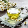 Dia Internacional do Chá: 7 opções para ajudar a saúde digestiva