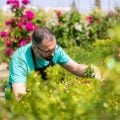 Melhor cuidado para o jardim: quais tecnologias fazem a diferença?