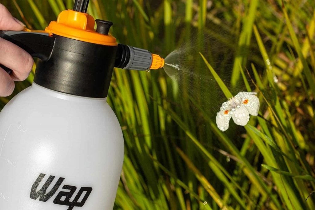 Qual a melhor forma de irrigar seu jardim? Veja o que muda em áreas pequenas e grandes