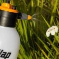 Qual a melhor forma de irrigar seu jardim? Veja o que muda em áreas pequenas e grandes