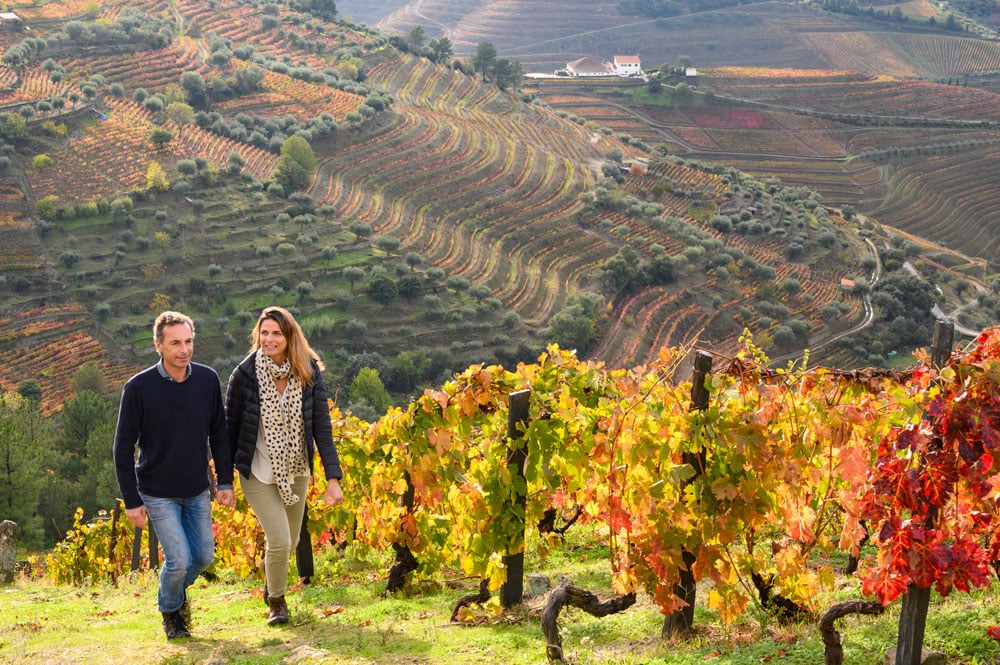 Um casal no mundo do vinho