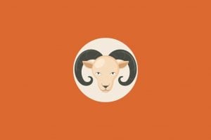 Tarot do dia: previsão para os 12 signos em 24/05/2026
