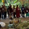 Psicodélicos, patentes e colonialismo científico
