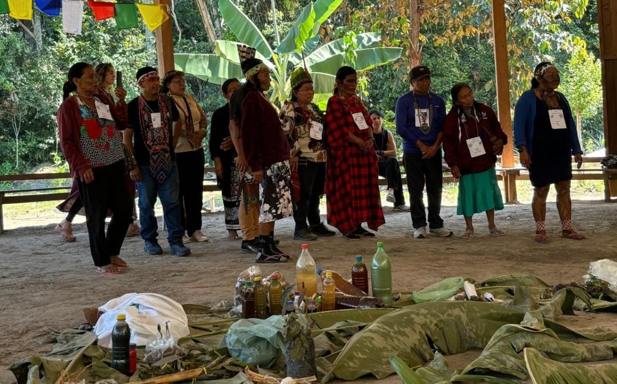 Psicodélicos, patentes e colonialismo científico