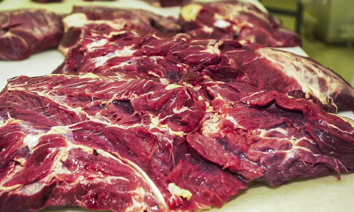 O que se sabe sobre veto da UE à importação de carne bovina do Brasil a partir de setembro