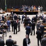 Câmara aprova redução de quase 40% de floresta nacional no Pará
