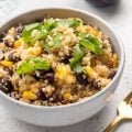 Jantar saudável: 4 receitas leves com proteína vegetal 