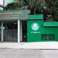 Polícia investiga denúncia de estupro contra menina de 4 anos na sede do Palmeiras