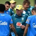 A seleção sintética