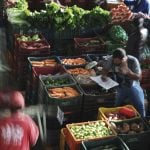 Feira nada livre
