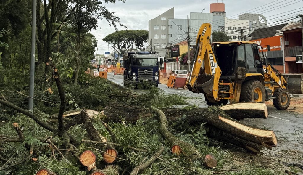 O mito da Curitiba ecológica e o urbanismo de fachada