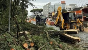 O mito da Curitiba ecológica e o urbanismo de fachada