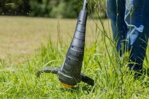 Os melhores equipamentos de jardinagem para cada tipo de casa