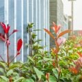 Quais são os melhores itens para manter o jardim sempre bem cuidado?