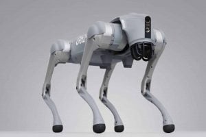 Cães-robô em casa: como essa tecnologia pode mudar a segurança residencial