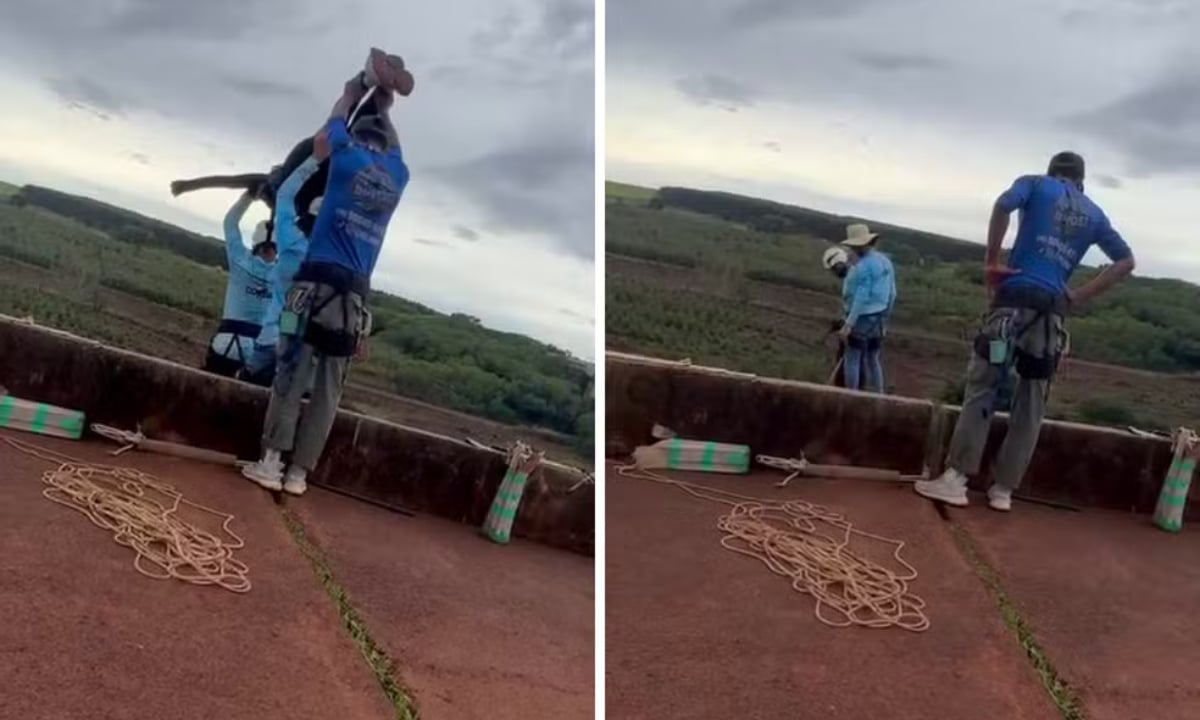 Limeira fecha acesso a ponte 4 dias após jovem morrer ao ser arremessada sem corda – CartaCapital Limeira fecha acesso a ponte 4 dias após jovem morrer ao ser arremessada sem corda – CartaCapital