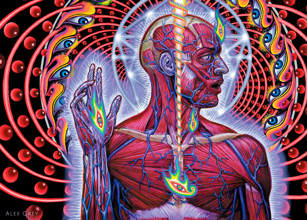 Alex Grey, o cartógrafo das consciências expandidas