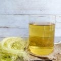 6 chás para os rins: veja opções naturais para complementar os cuidados com a saúde