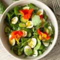 Almoço saudável: 5 receitas fáceis e nutritivas com ovo para o dia a dia