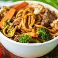 5 receitas típicas do Japão para celebrar a Copa do Mundo com muito sabor