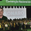 Autofagia eleitoral