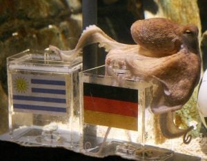 A Copa de 2026 teve o seu polvo Paul