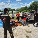 Nove monges tailandeses morrem atropelados por caminhonete dirigida por criança