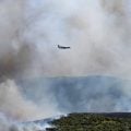 Calor extremo alimenta incêndios florestais na Europa