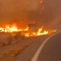 Incêndio florestal deixa ao menos 11 mortos na Espanha