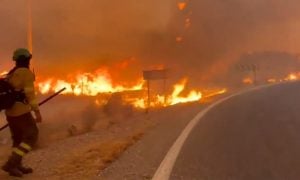 Incêndio florestal deixa ao menos 11 mortos na Espanha