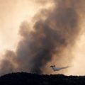 Bombeiros avançam na luta contra incêndios florestais na Espanha